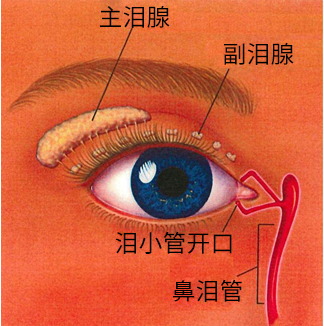 干眼癥手術